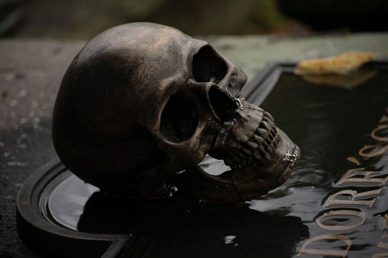 Бабушка в Акмолинской области закопала тело своего внука в огороде