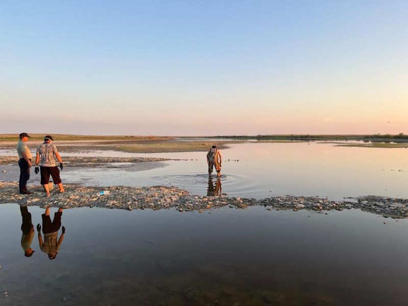 В Минсельхозе назвали причину массовой гибели рыбы на Каспии