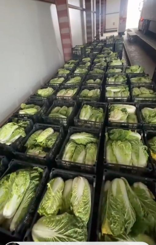 Сигареты в пекинской капусте пытались незаконно вывезти из Казахстана