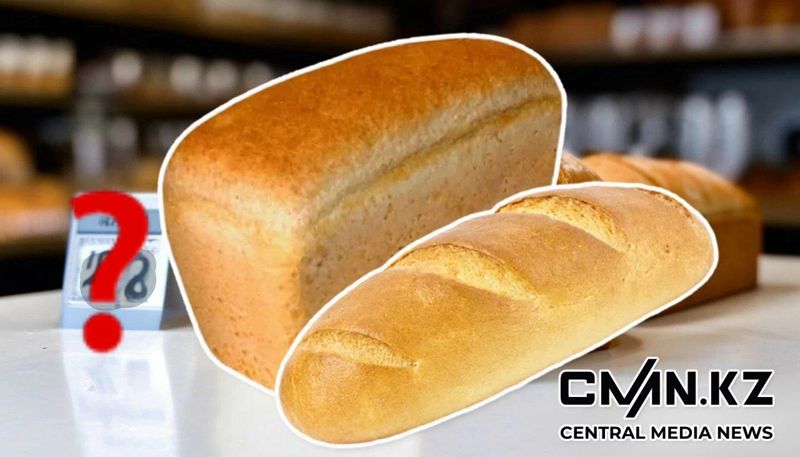 Хлеб насущный: как повлияли паводки на урожай пшеницы в Казахстане