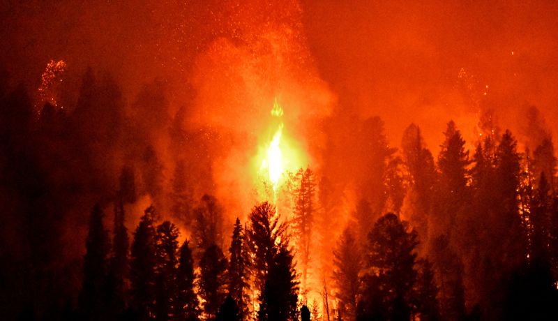 В СКО не готовы к лесным пожарам: трёх акимов привлекли к ответственности