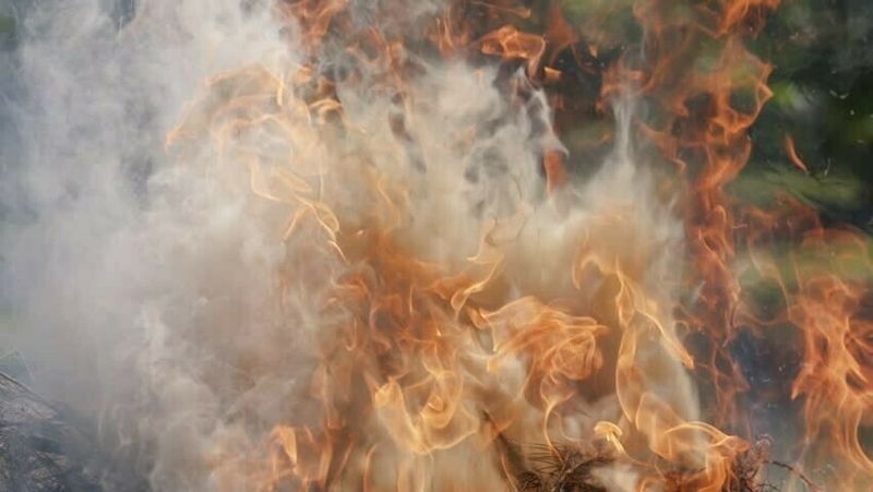 Шесть газовых баллонов вынесли пожарные из горящего кафе в Алматы