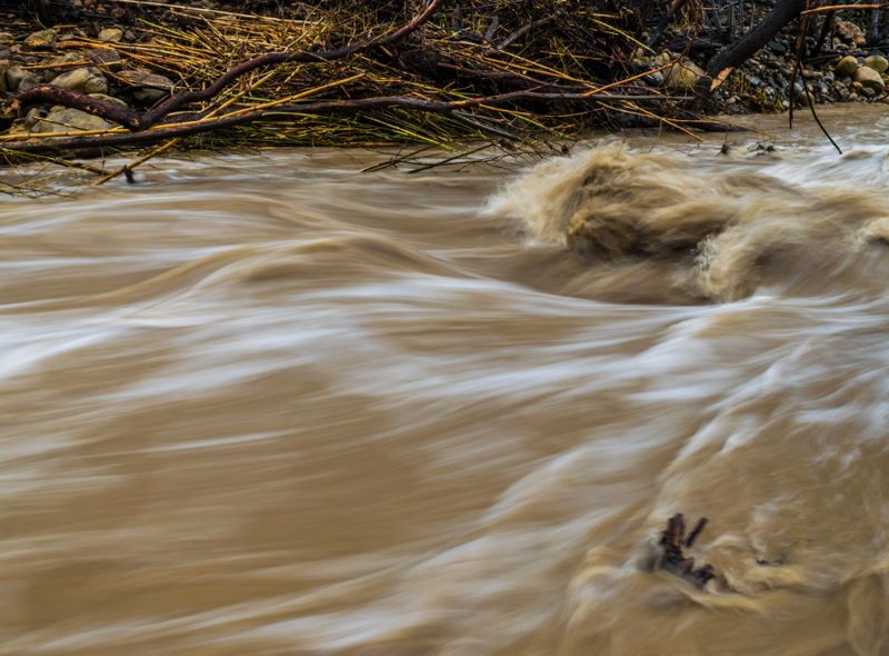 В Жамбылской области склоновый сток унес почти 700 голов скота