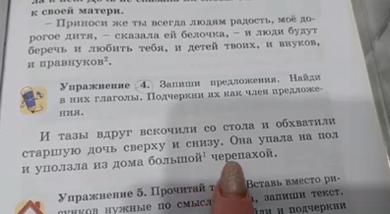 Учебником русского языка со странными предложениями о белках, детях и тазах возмущены родители второклассников