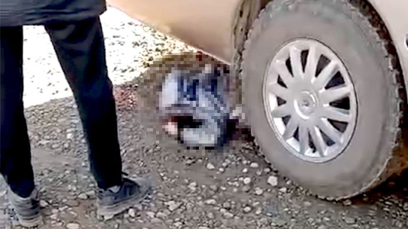 Автобус насмерть сбил семилетнего ребёнка в Алматинской области