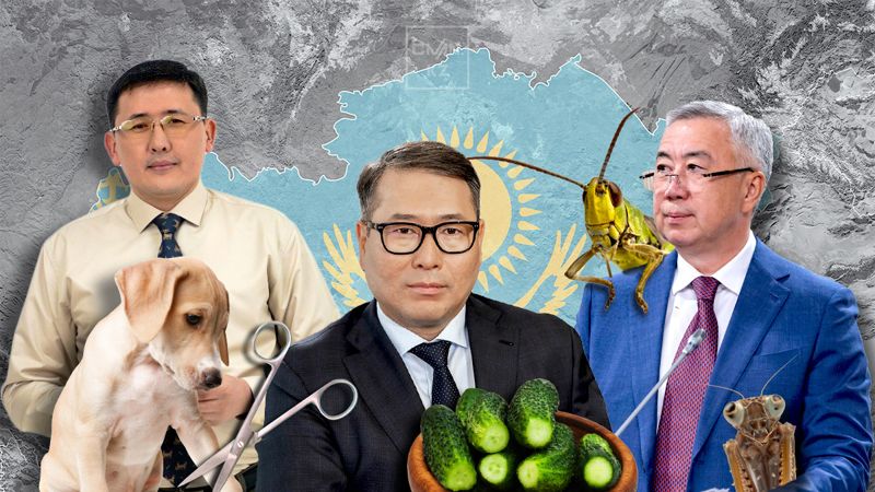 Желание размножаться и длинный язык женщин: топ странных цитат чиновников и депутатов в 2024 году