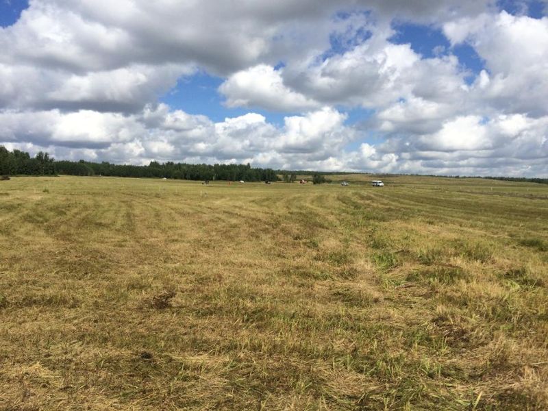 В Павлодарской области вернули пастбища на 2,7 млрд тенге