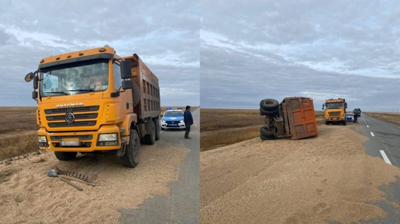 Прицеп грузовика с зерном опрокинулся на оживлённой трассе в СКО
