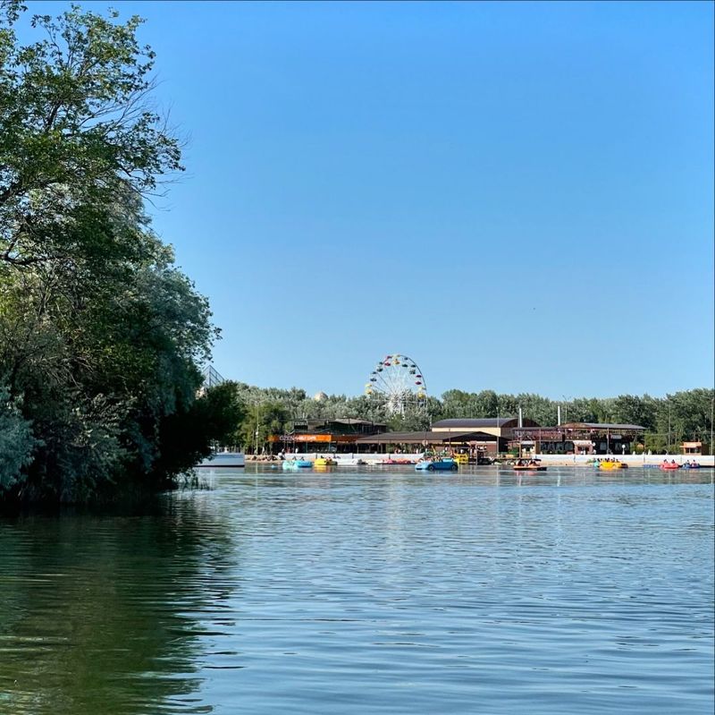В Караганде в озере Центрального парка нашли цисты лямблии