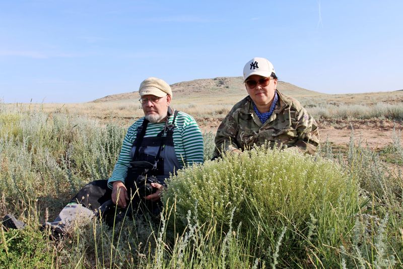 В Атырауской области казахстанские учёные обнаружили неизвестный науке вид растений