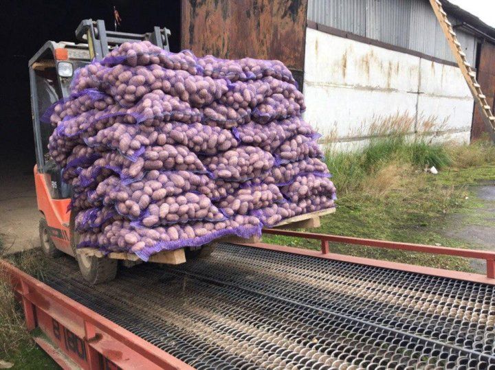 Казахстан ограничил вывоз картофеля на полгода, страны ЕАЭС это не касается