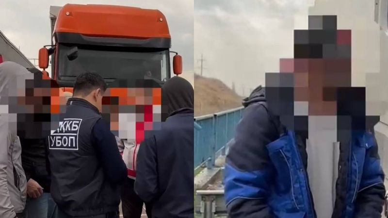 ОПГ, помогавшую нелегальным мигрантам, раскрыли в Туркестанской области