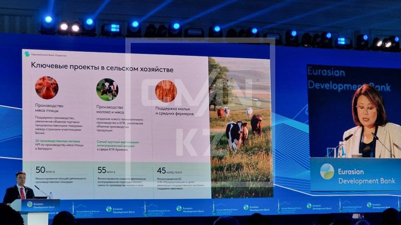 Что происходит с продовольствием в Центрально-Азиатском регионе и кого мы можем ещё накормить