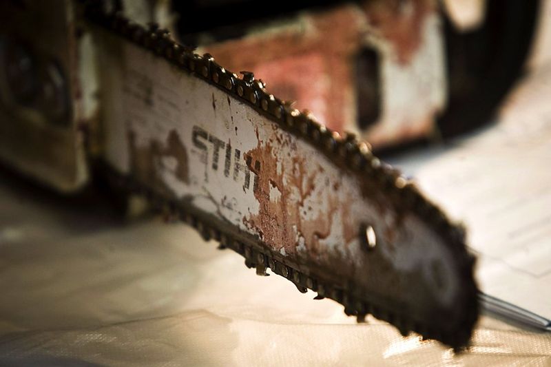 Парень случайно распилил себе ногу бензопилой на севере Казахстана