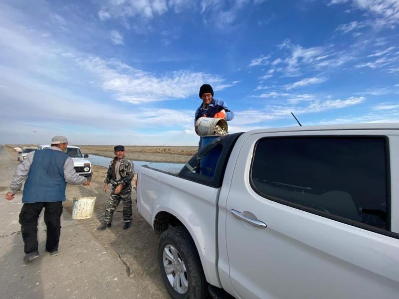 Тысячи мальков пытаются спасти из лужи в Атырауской области