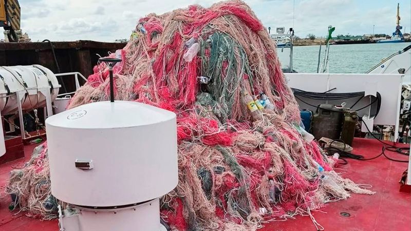 Браконьеров на Каспии ловят пограничники Казахстана, России и Азербайджана