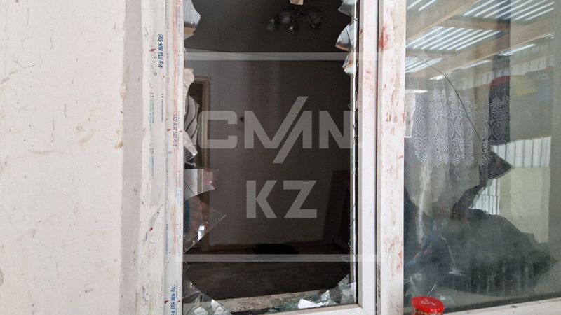 Что известно о матери детей, на которых напали в Алматинской области