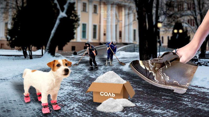 Скользкий вопрос: какой вред зимой приносит соль на дорогах Астаны и чем её можно заменить