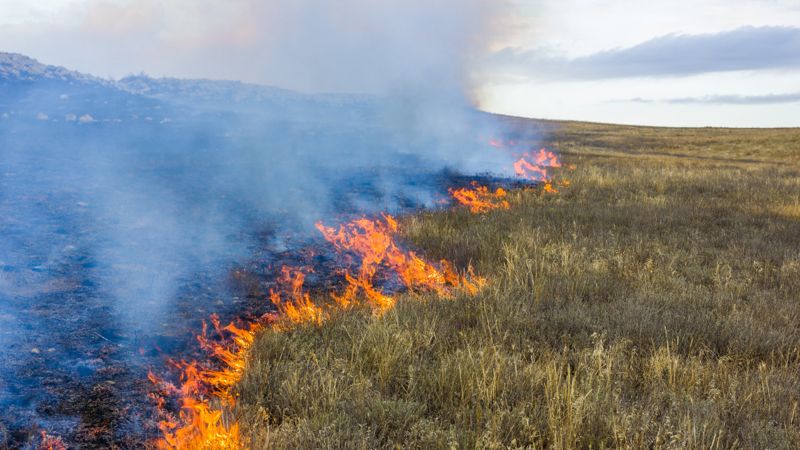 О состоянии пострадавших при степном пожаре рассказали в упрздраве Караганды