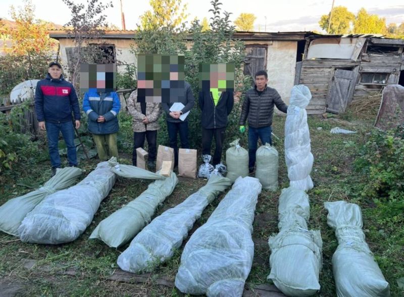 У жителя ВКО полицейские нашли 15 кг марихуаны