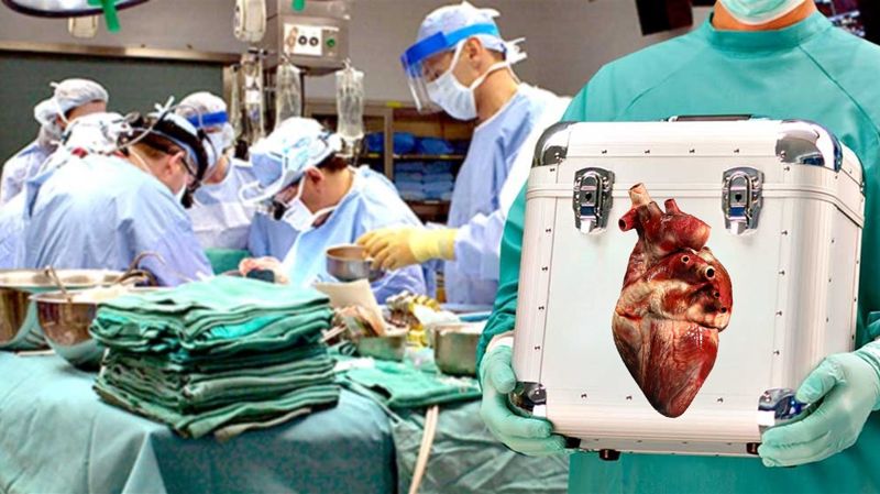 Более 4 тысяч казахстанцев ждут пересадки: Альназарова рассказала о причинах дефицита доноров