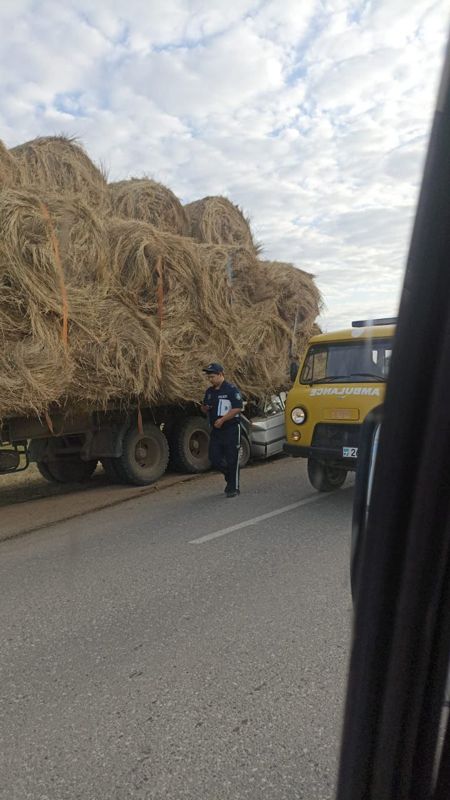 В ЗКО в аварии погибло пять человек