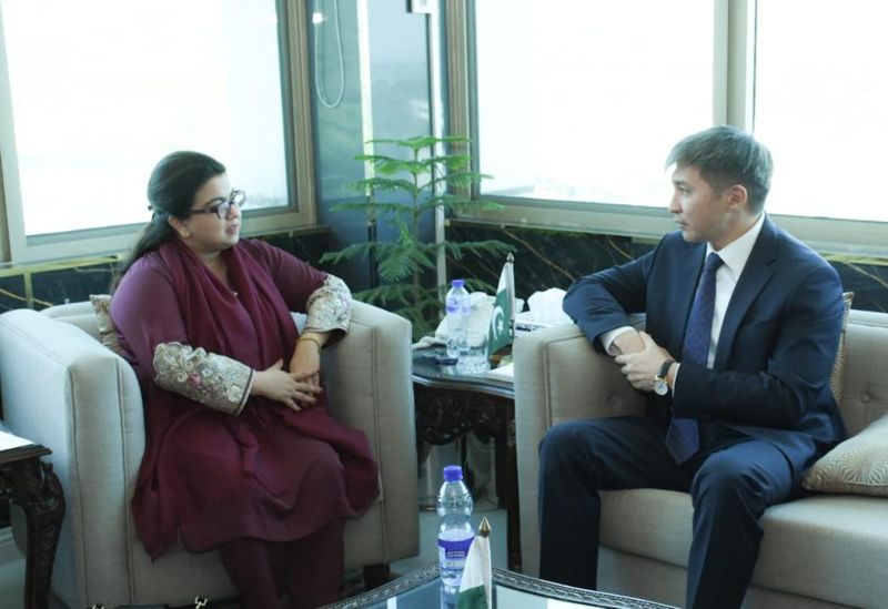 Развивать сотрудничество в IT-секторе намерены Казахстан и Пакистан