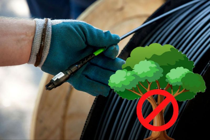 Интернет по дереву: нарушает ли Freedom Telecom Тимура Турлова законы страны?