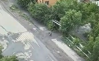 Хулиган сорвал с 76-летней пенсионерки цепочку - его задержали