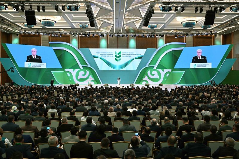 Льготные кредиты на весенне-полевые работы будут доступны с декабря 2024 года