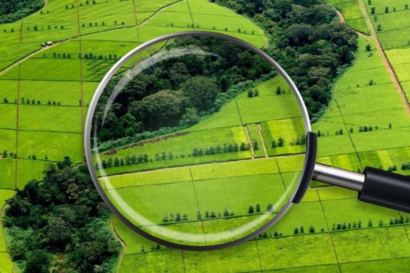 Государство отбирает нашу землю: жители Мангистау записали обращение