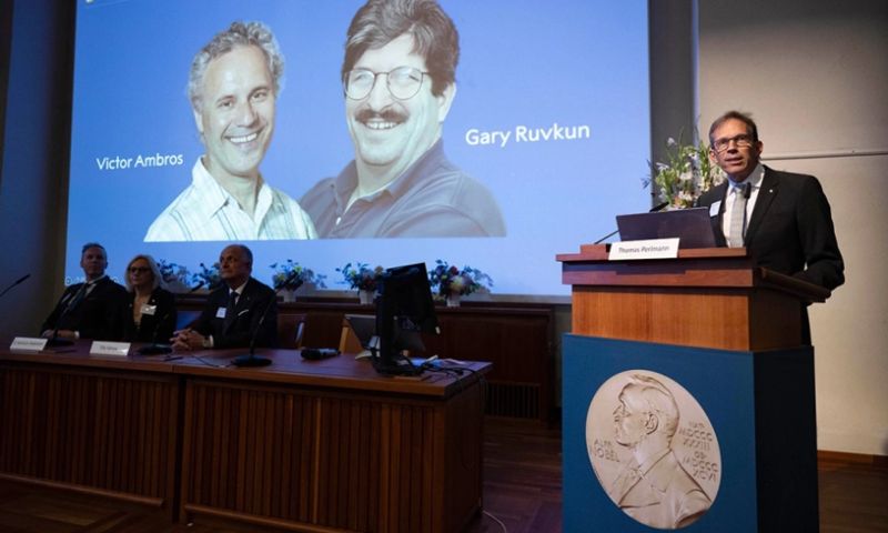 Нобелевскую премию по медицине и физиологии получили ученые из США