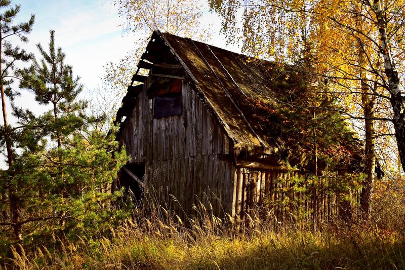 Тело студента обнаружили в сарае у сельчанина в ЗКО
