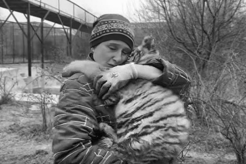 В Крыму львы загрызли женщину