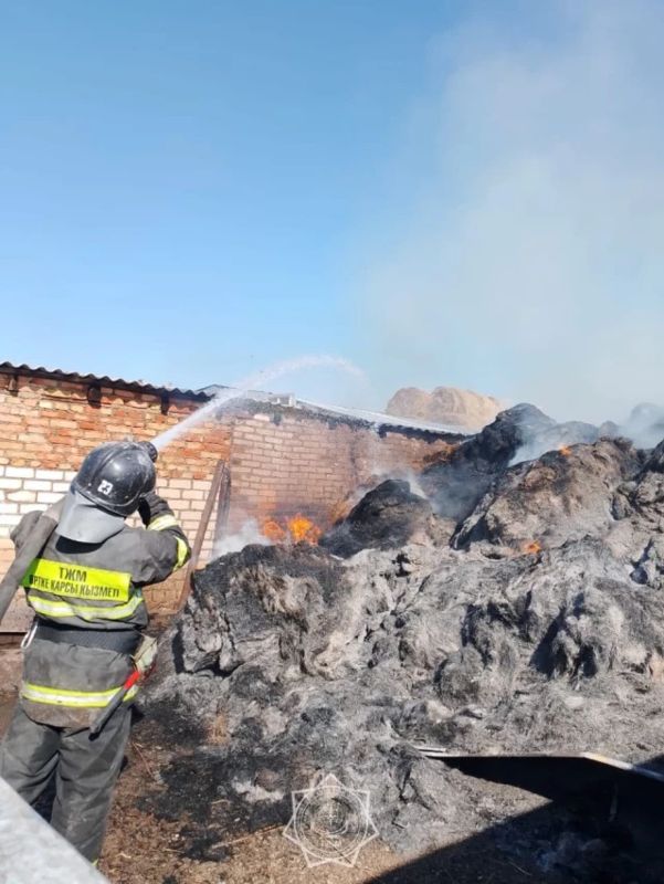 Неизвестный поджег сено в нескольких дворах в ЗКО