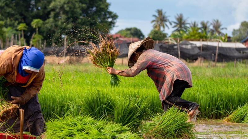 "Это чёрная работа": о проблеме трудящихся заграницей казахстанцев заявил депутат