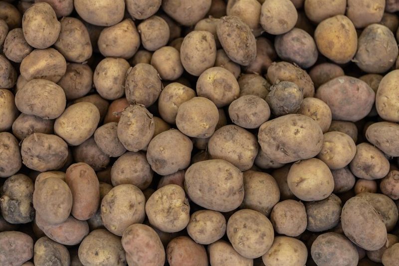 В Атырау ограничили продажу картофеля: по 3 кг в одни руки