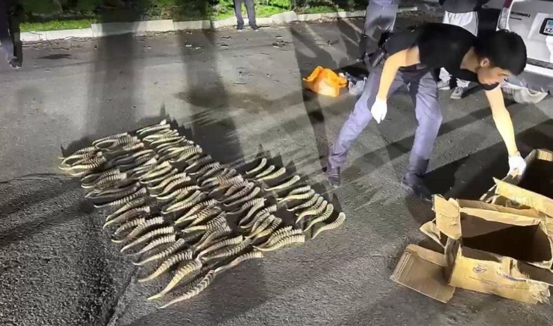 Полмиллиарда в багажнике: в Текели задержали мужчину с рогами сайгака