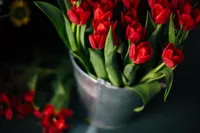 Откуда и какие цветы везут в Казахстан 