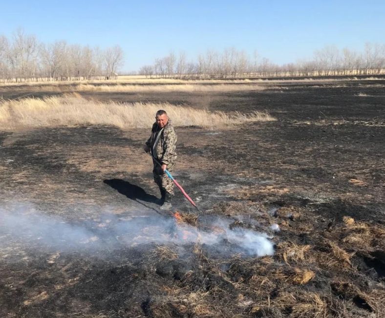 Степной пожар в области Абай перешел на лесной массив