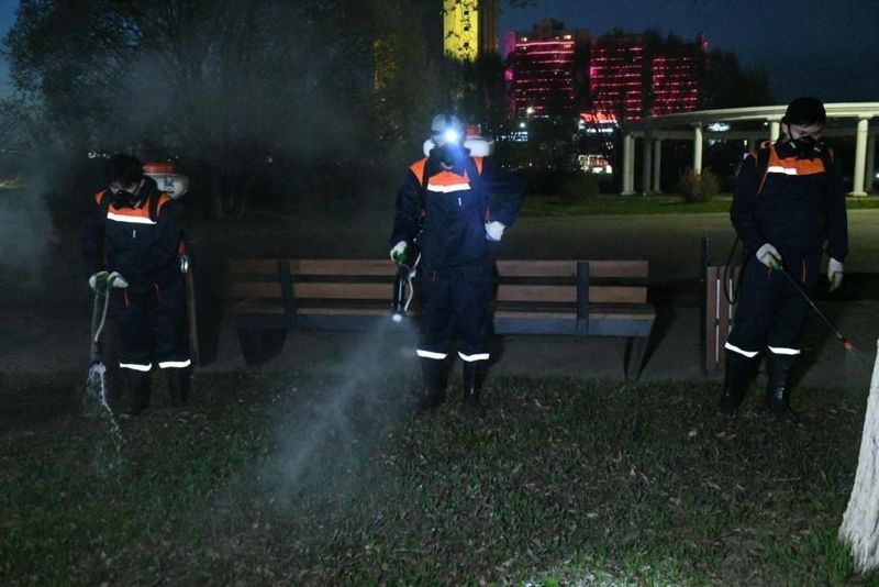 В Астане начали дезинсекцию против комаров