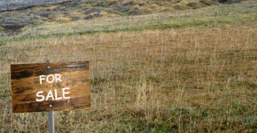 В Жетысу фермер продал землю более 100 пайщиков без их ведома