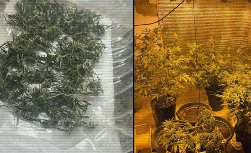 Анаша и спальня с сюрпризом: житель Кызылорды оборудовал фитолабораторию у себя дома