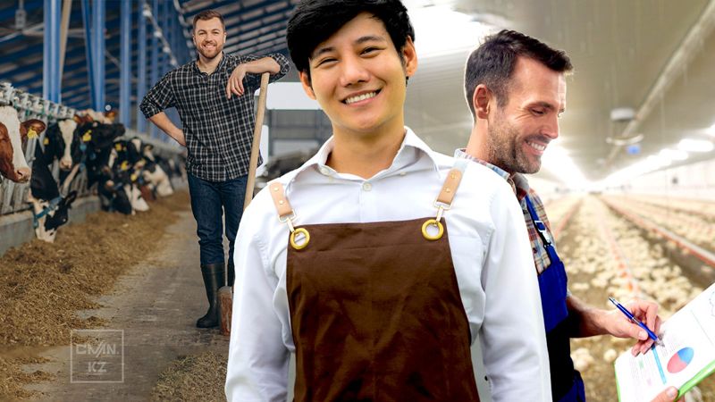 Работать некому, а есть хотят все: почему в казахстанском агросекторе не хватает рабочих рук