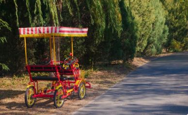 Пенсионерка погибла, катаясь с семьёй на велосипеде по набережной в Павлодаре