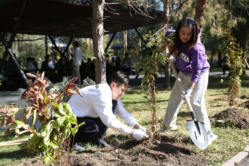 В Алматы началась осенняя высадка деревьев