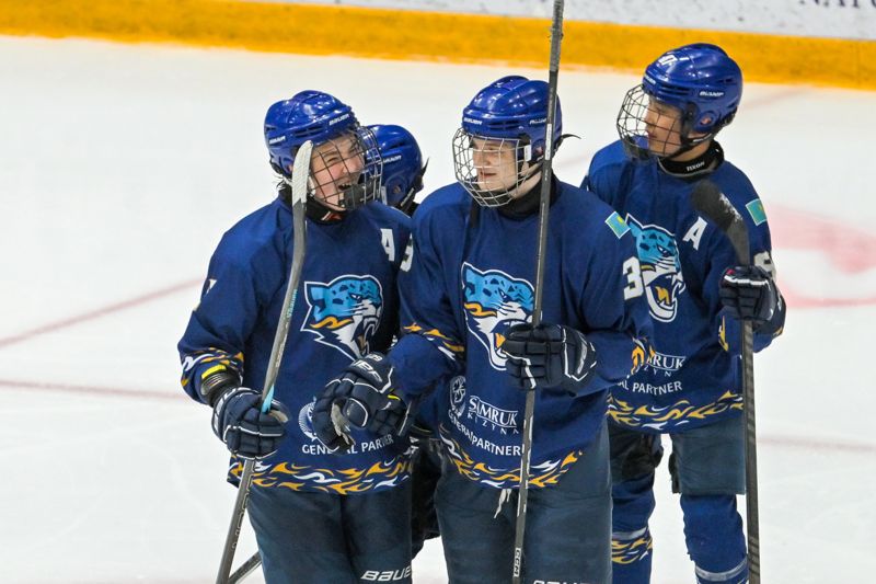 Родители хоккеистов "Барыса" обратились к президенту Казахстана