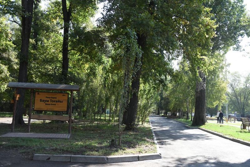 Новый аким Алматы привлёк инвесторов для благоустройства рощи Баума