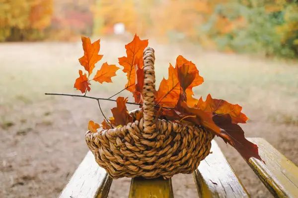 Синоптики назвали два региона Казахстана, которые останутся без дождей