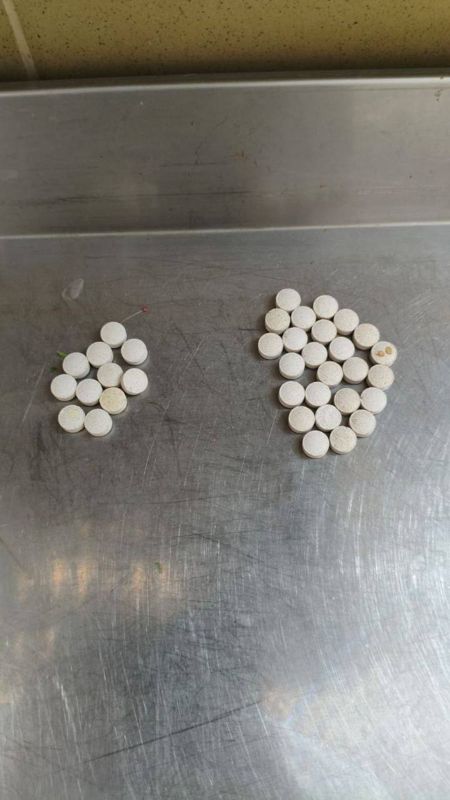 Посетитель пытался отравить рысей и леопарда в Московском зоопарке